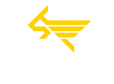 Brylaine Travel
