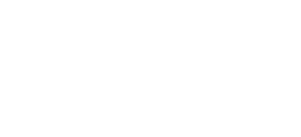 Community First Wessex