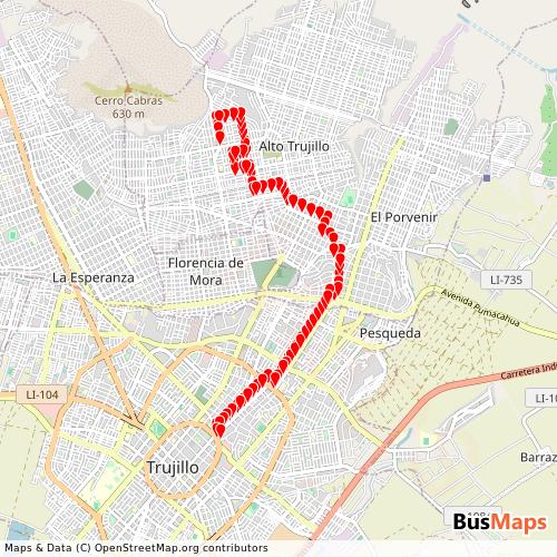 Transit Data for Peru by Serv. Generales Lider Express S.A. with Stops on Map