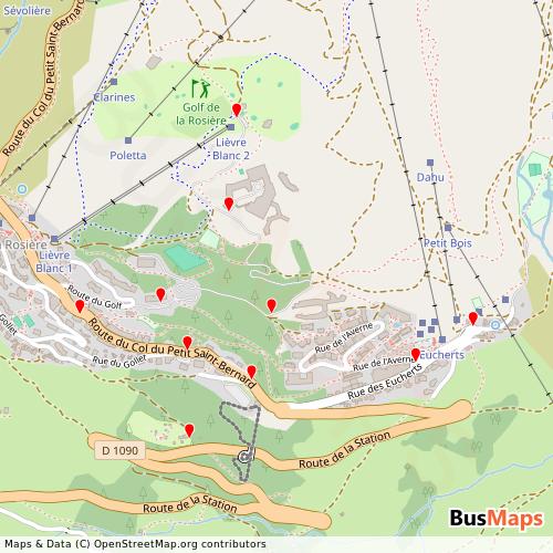 Transit map showing la-rosiere-navettes routes and stops in France