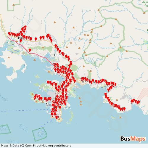 Transit map showing nouvelle-caledonie-taneo routes and stops in France