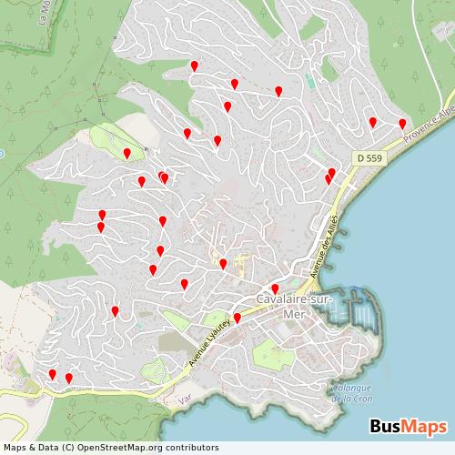 Transit map showing suma-transport routes and stops in France