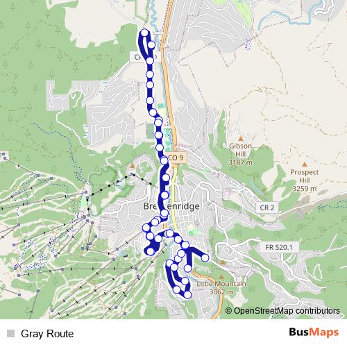 Gray Route bus Line Map