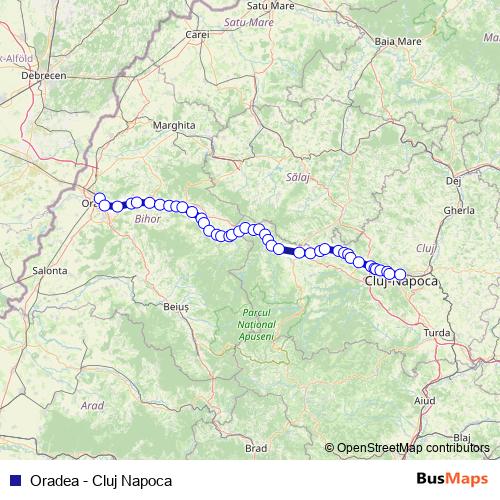Oradea - Cluj Napoca bus Line Map