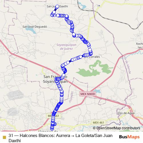 31 bus Line Map