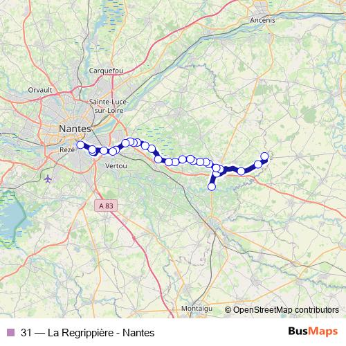 31 bus Line Map