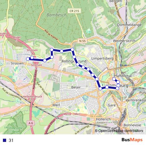 31 bus Line Map