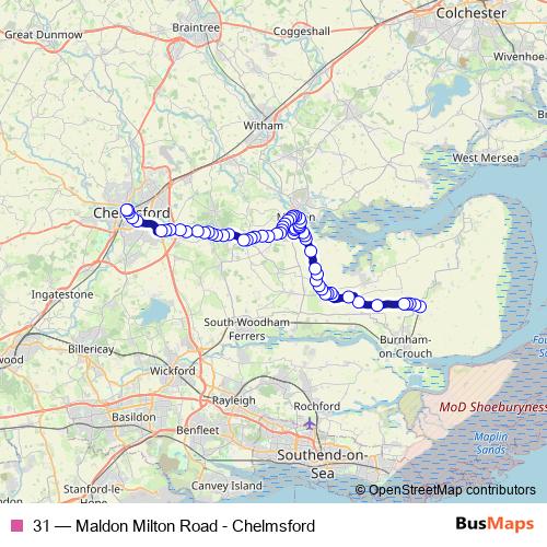 31 bus Line Map