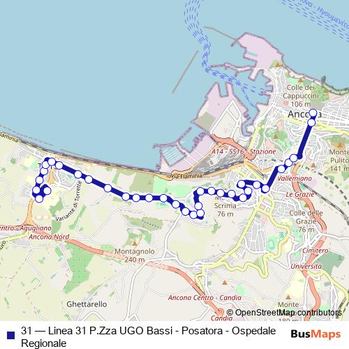 31 bus Line Map