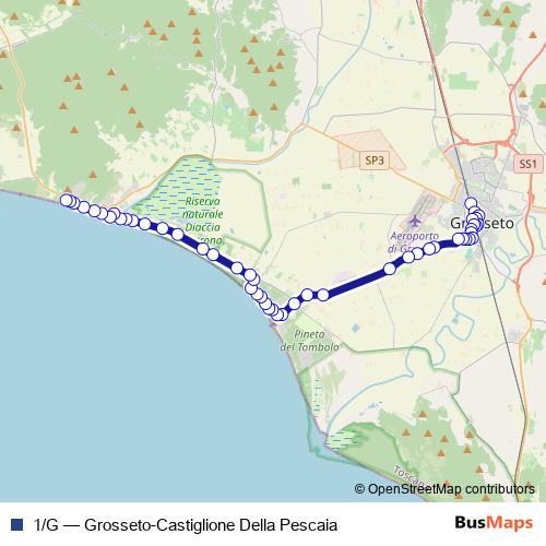 1/G bus Line Map