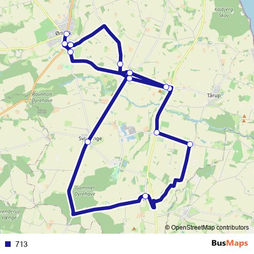 713 bus Line Map