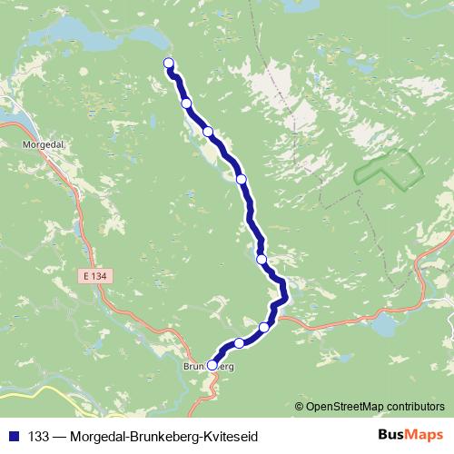 133 bus Line Map
