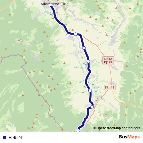 R 4524 rail Line Map