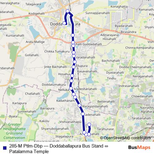 285-M Ptlm-Dbp bus Line Map