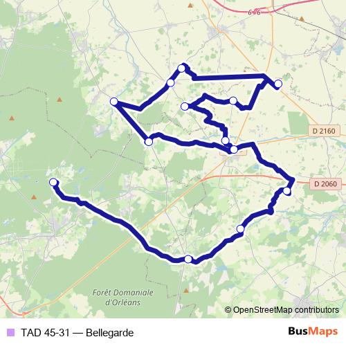 TAD 45-31 bus Line Map