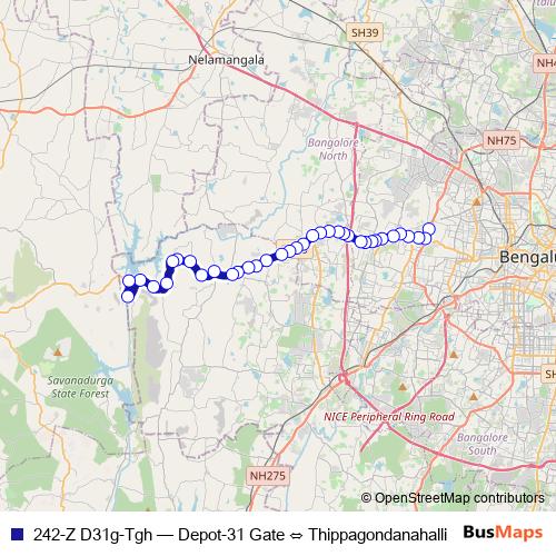 242-Z D31g-Tgh bus Line Map
