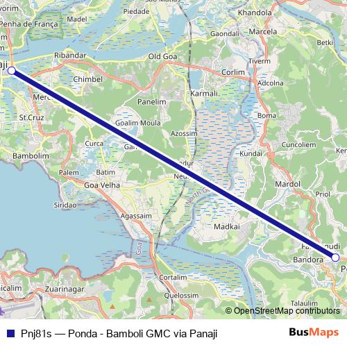 Pnj81s bus Line Map