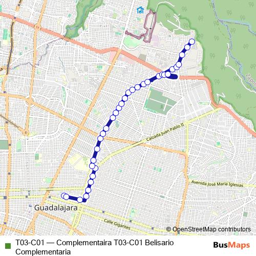 T03-C01 bus Line Map