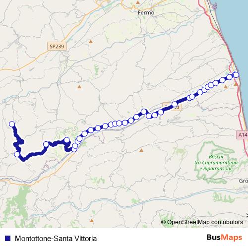 Montottone-Santa Vittoria bus Line Map