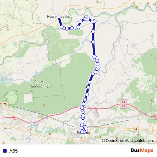 A65 bus Line Map