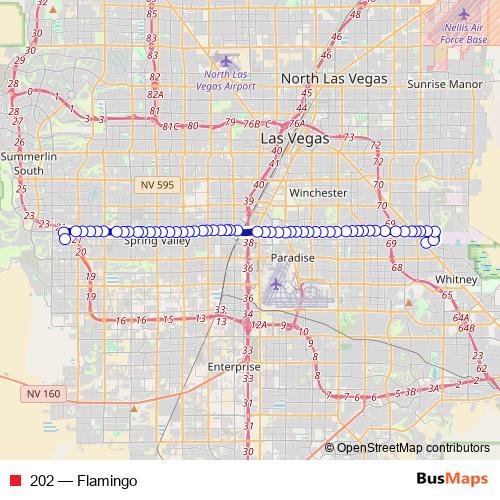202 bus Line Map