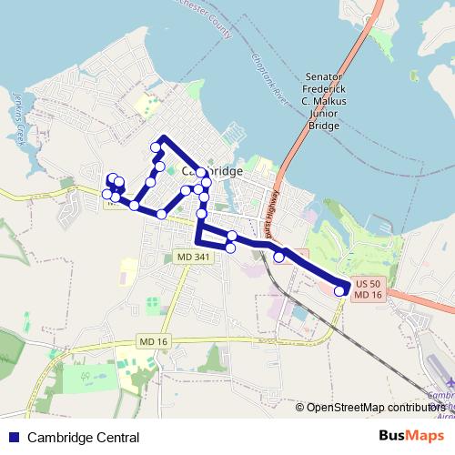 Cambridge Central bus Line Map