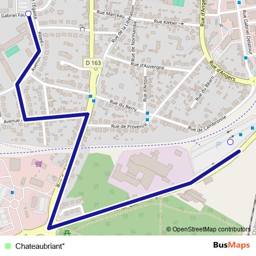 Chateaubriant* bus Line Map