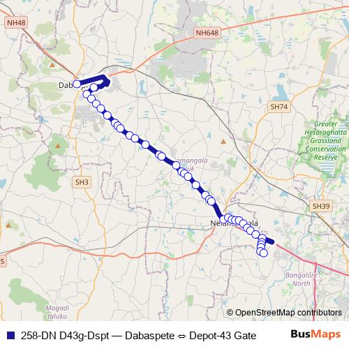 258-DN D43g-Dspt bus Line Map