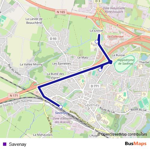 Savenay bus Line Map