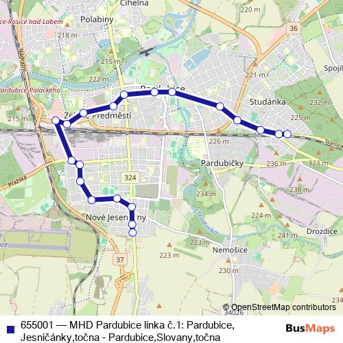 655001 trolleybus Line Map