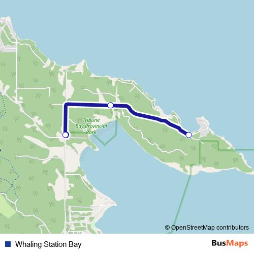 Whaling Station Bay bus Line Map