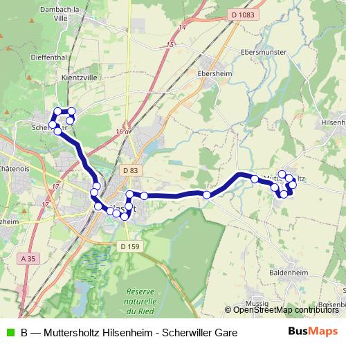 B bus Line Map
