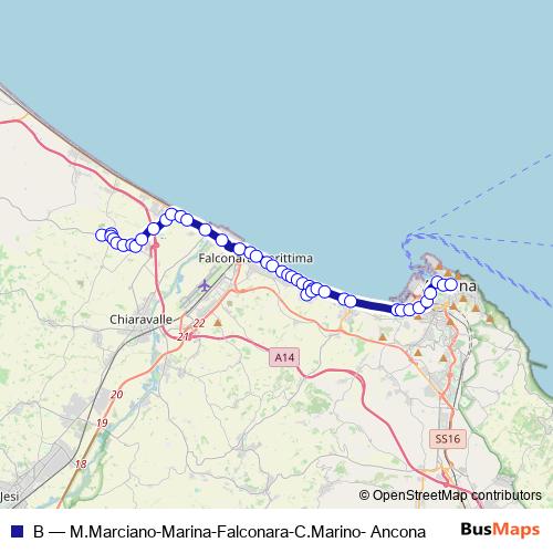 B bus Line Map