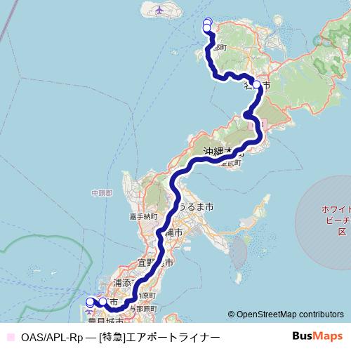 OAS/APL-Rp bus Line Map