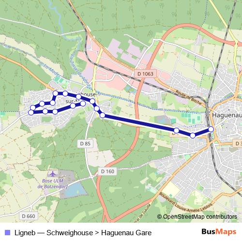 Ligneb bus Line Map