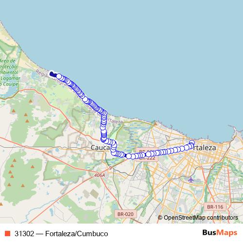 31302 bus Line Map
