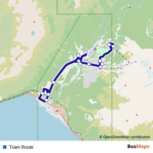 Town Route bus Line Map