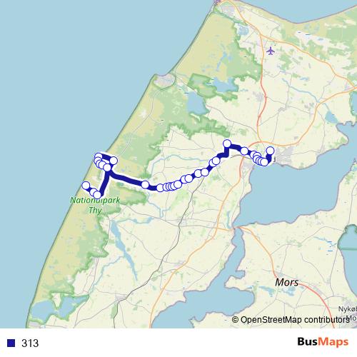 313 bus Line Map