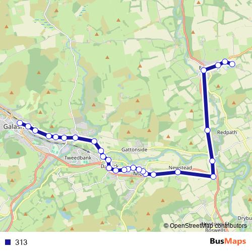 313 bus Line Map