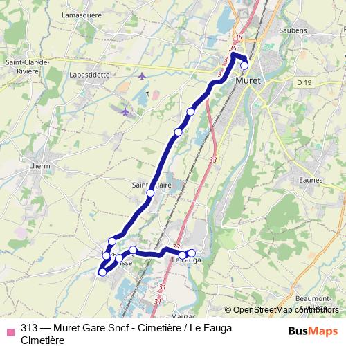 313 bus Line Map