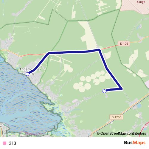313 bus Line Map