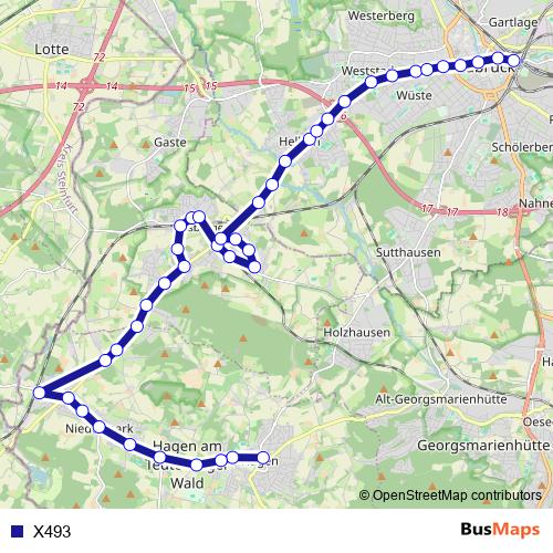 X493 bus Line Map