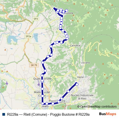 Ri229a bus Line Map