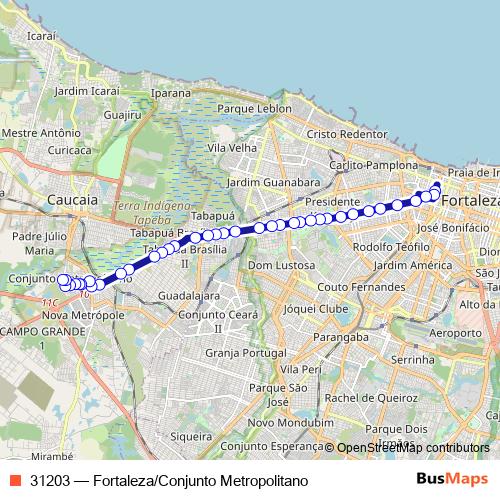 31203 bus Line Map