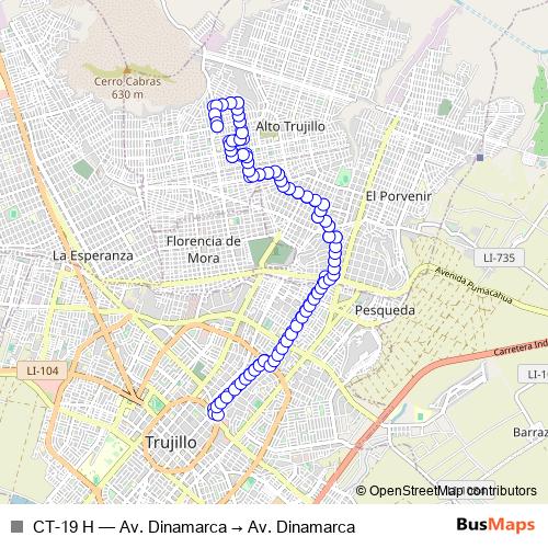CT-19 H bus Line Map