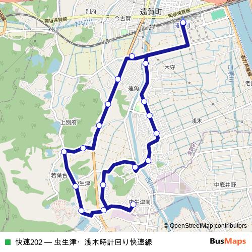 快速202 bus Line Map