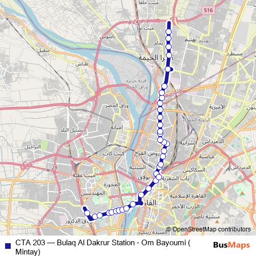 CTA 203 bus Line Map