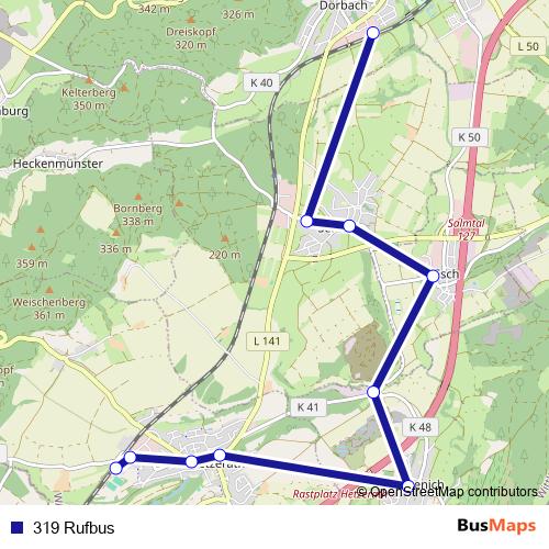 319 Rufbus bus Line Map