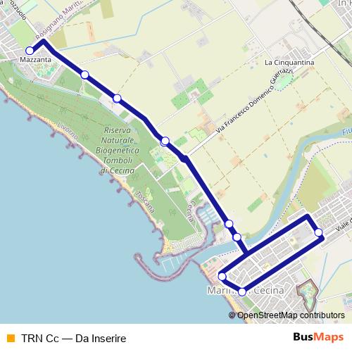 TRN Cc bus Line Map