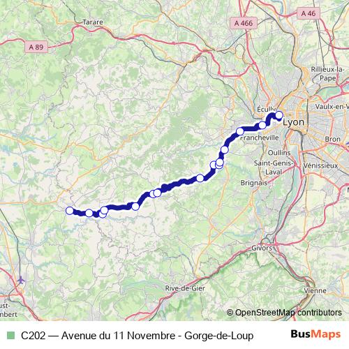 C202 trolleybus Line Map